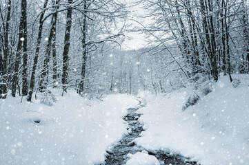 Forest road in heavy snowfall. The stream washed out a dark strip in the white snow. Forest winter landscape