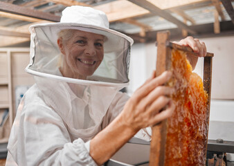 Beekeeper, honey and manufacturing with frame, honeycomb and suit for safety in workshop or farm. Portrait of agriculture employee or animal farmer happy, working and farming natural resource