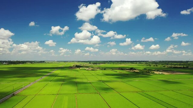 我孫子市の田園風景