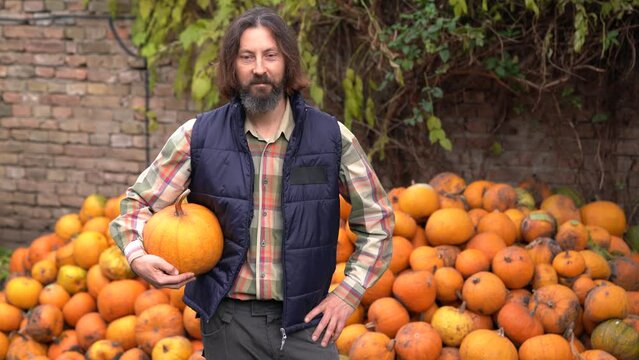 Bearded farmer with pumpkin on a background of a pile of pumpkins