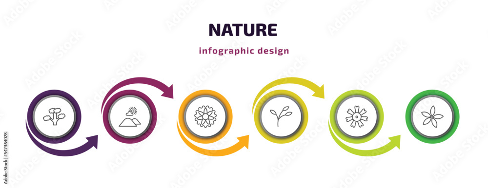 Poster nature infographic template with icons and 6 step or option. nature icons such as slippery elm tree,
