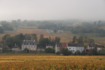 landscape in autumn in Burgundy, France 