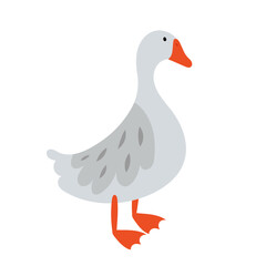 Farm gray goose. Vector illustration of a gray goose.
