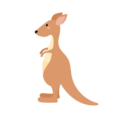 Cute kangaroo in flat style isolated on white background.  Animal of Australia.