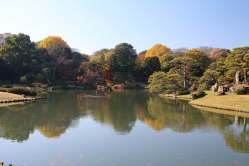 秋の六義園。池と森のある日本庭園。