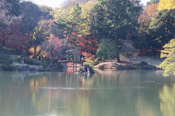 秋の六義園。池と森のある日本庭園。