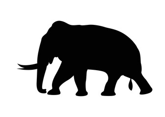 Walking big elephant strong power with outline black. vector illustration.