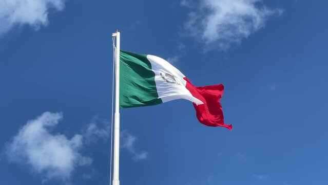 The Mexican Flag Blowing in the Wind