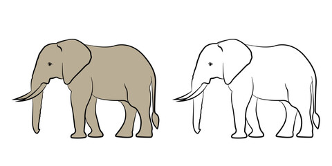 Elephant black outline illustration on isolated background.