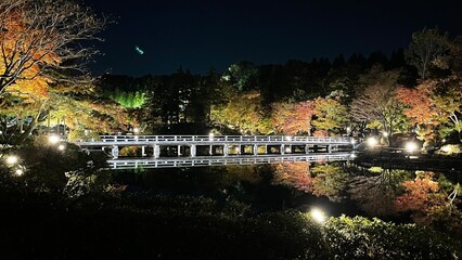 昭和記念公園　日本庭園