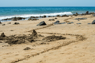 Beach in the morning