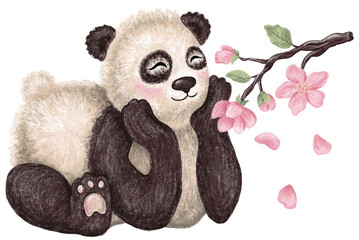 Panda is admiring the flowering of a spring tree