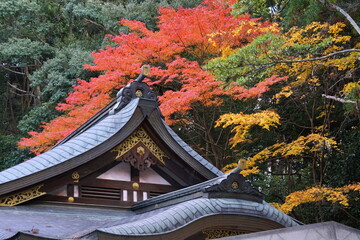 奈良　大神神社