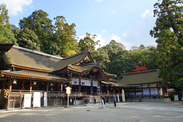 Fototapeta premium 大神神社 拝殿
