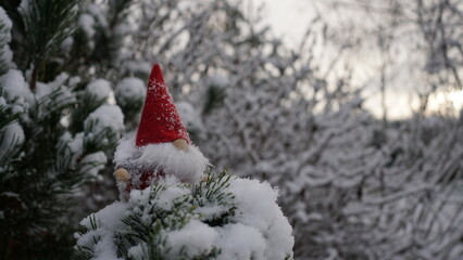 Christmas elf in the snow
