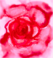 Watercolor pink rose petals