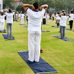 Group Yoga exercise session for people of different age groups at cricket stadium in Delhi on International Yoga Day, Big group of adults attending yoga session