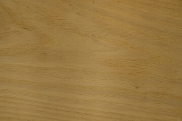 Polished linden surface. Wood texture. Copy space. 