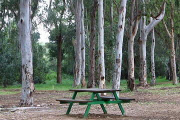 Bench for rest in a city park in Israel.