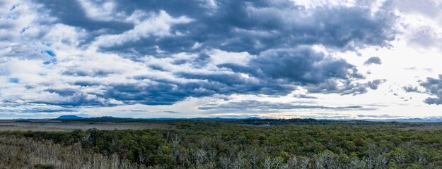 Panoramic shot of treetops under a cloudy sky in Port Macquarie, Australia