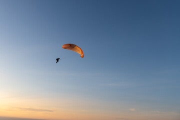 Paraglider flying over thesea shore at sunset. Paragliding sport concept.