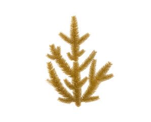 Isolated gold branch for Christmas decoration on transparent background