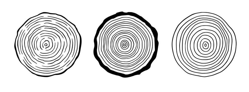 Tree ring wood circle set. Hand drawn tree ring pattern, line ripple circle wood texture. Wood organic slice line design. Vector illustration.