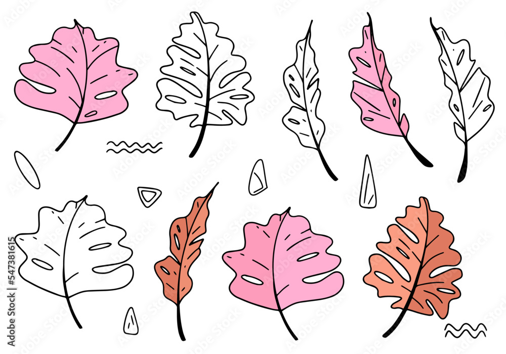 Poster set botanical hand drawn vector element.
