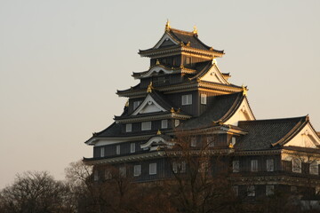 Evening Okayama Castle, in Okayama-City, Japan