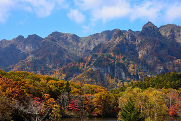 Autumn leaves of Northern Alps