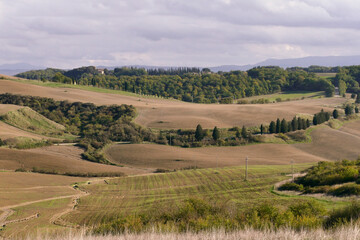 Fototapeta premium Panorama della Val d'Orcia, provincia di Siena. Toscana, Italy