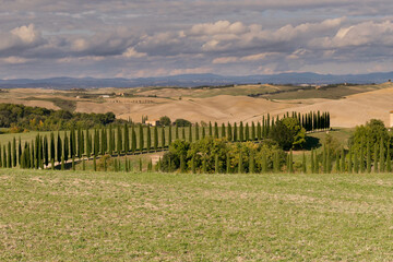 Fototapeta na wymiar Panorama della Val d'Orcia, provincia di Siena. Toscana, Italy