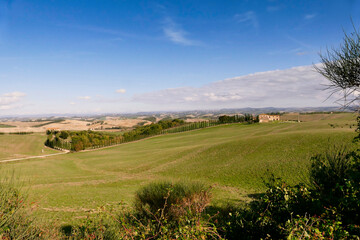 Fototapeta premium Panorama della Val d'Orcia, provincia di Siena. Toscana, Italy