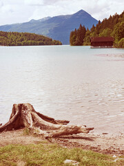 Alps lake Walchensee. Beach with dead tree stump and old wooden boat house