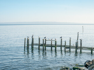 Pillars and poles of port mole in fishing Village of Vitt near Kap Arkona