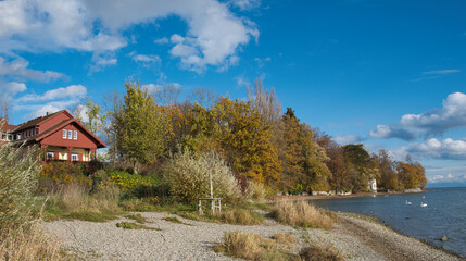 Herbst am Ufer des Bodensees bei Konstanz