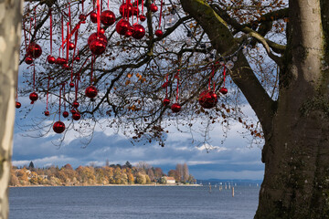 Christbaumkugeln hängen am Ufer des Bodensees
