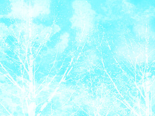 晴れやかな青空と白い樹々の影