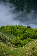 For&ecirc;t en fond de vall&eacute;e avec quelques nuages bas