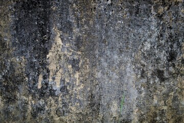 A weathered concrete wall with cracks and peeling paint, showing signs of age and decay.