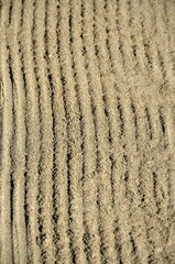 Huellas en la arena de la Playa de la Misericordia, Malaga, Costa del Sol, Andalucia, España