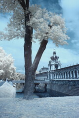 Zwinger in Dresden