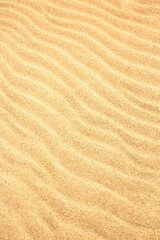 texture of the sand
