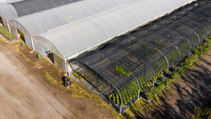 Aerial view on greenhouses. The crops are covered by bad weather and at their ideal temperature. Agriculture concept.