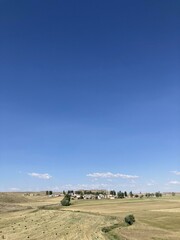 hay bales in a field