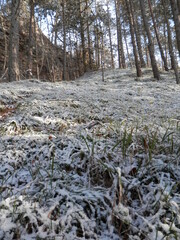 Der erste Schnee in Steigerthal bei Nordhausen
