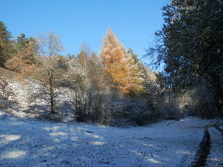 Der erste Schnee in Steigerthal bei Nordhausen