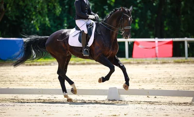 Foto op Canvas Dressage horse black in the tournament, photographed in a strong gallop all over the arena.. © RD-Fotografie