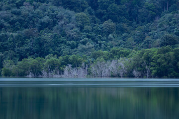 Wild meer in de bergen met droge boomstammen omringd langs de kust, gedroogde bomen die worden weerspiegeld in het water
