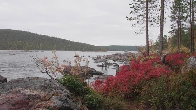 A view of colorful Inarij&auml;rvi in Lapland, Finland, in the autumn